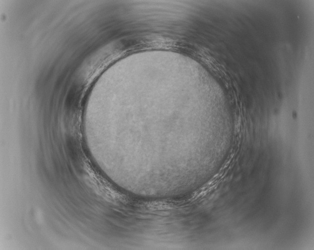 X0000053050146200507251432