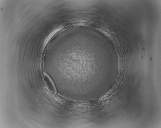 X0000053050147200507251432