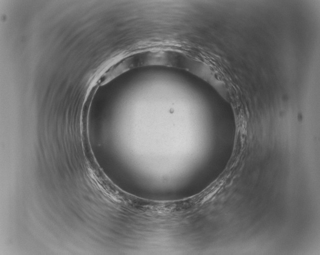 X0000053050148200507251432