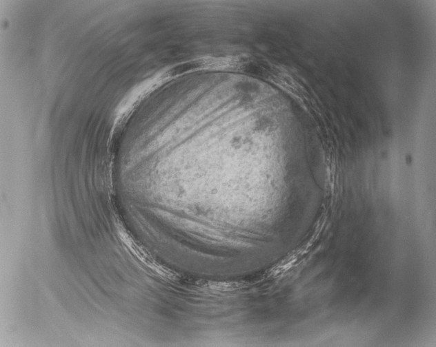 X0000053050149200507251432