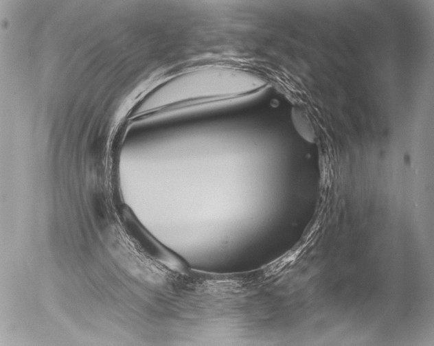 X0000053050150200507251432