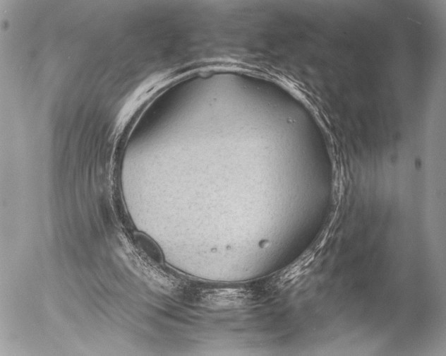 X0000053050151200507251432