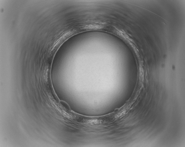 X0000053050153200507251432