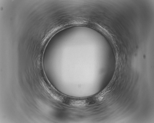 X0000053050155200507251432