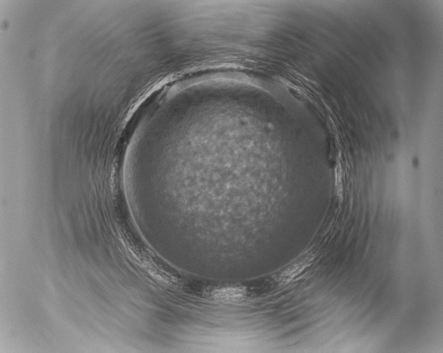 X0000053050156200507251432