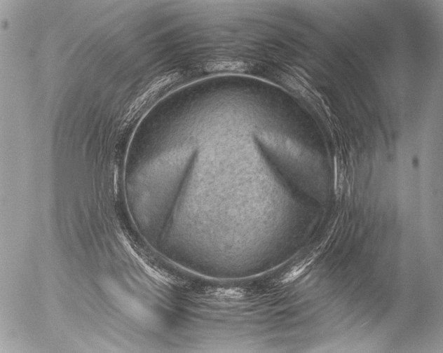 X0000053050157200507251432