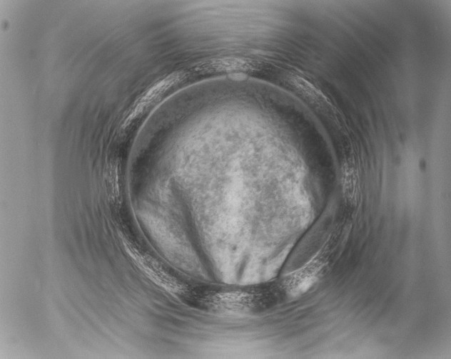 X0000053050158200507251432