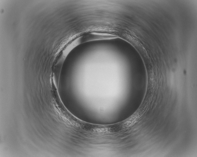 X0000053050160200507251432