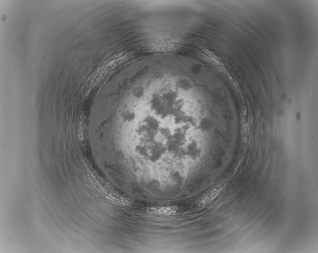 X0000053050161200507251432