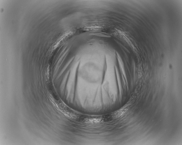 X0000053050163200507251432