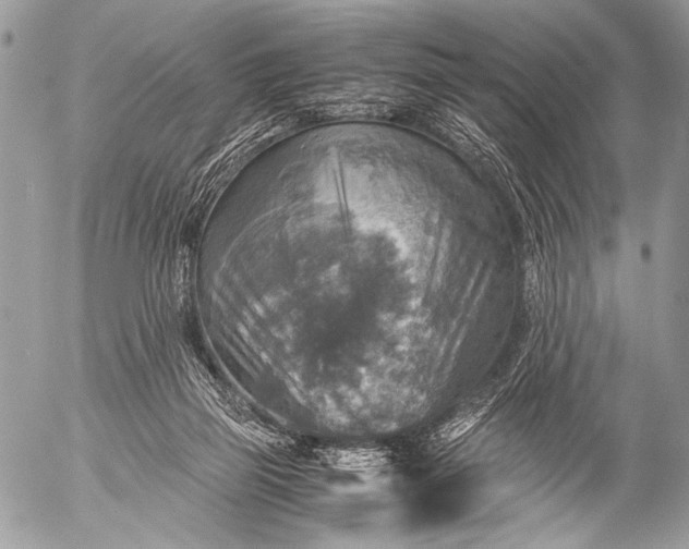 X0000053050165200507251432