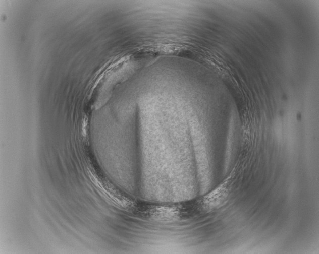 X0000053050166200507251432