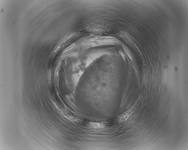 X0000053050167200507251432