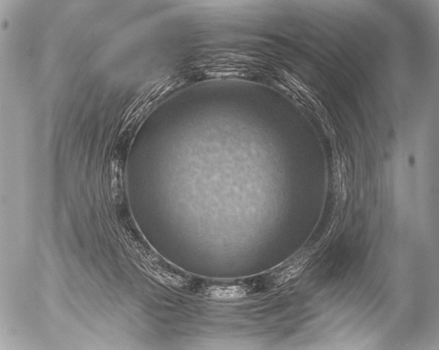 X0000053050169200507251432