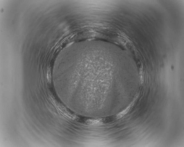 X0000053050170200507251432