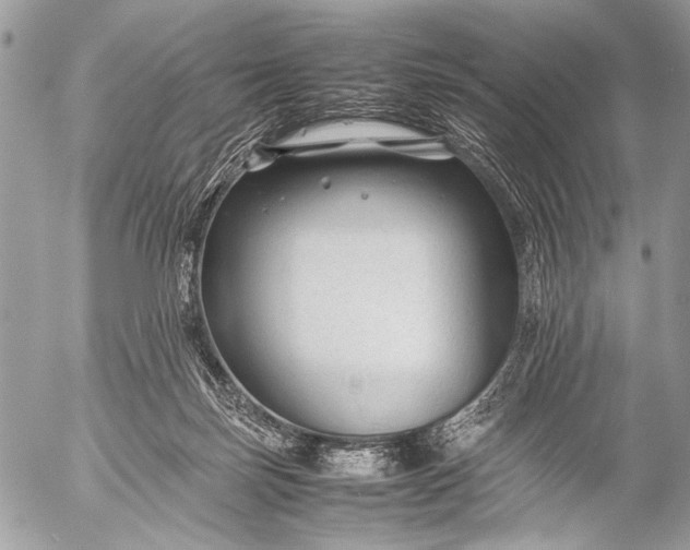 X0000053050171200507251432