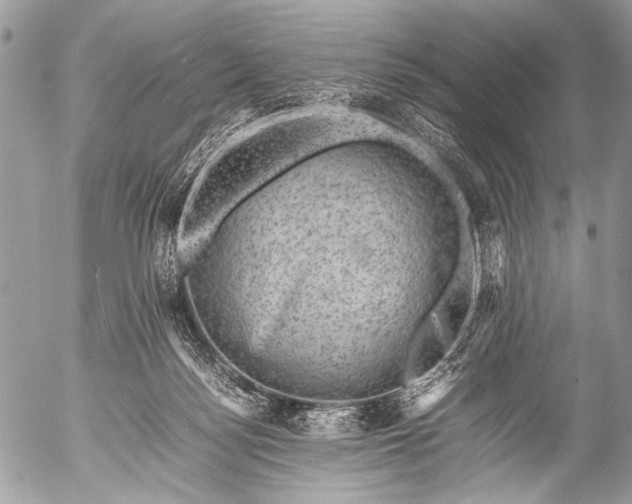 X0000053050172200507251432