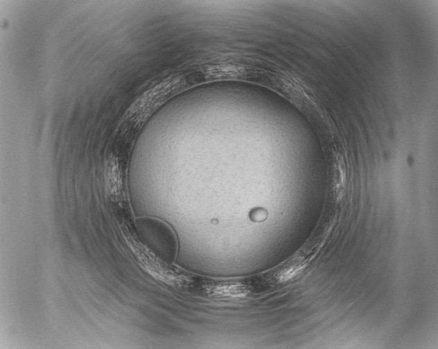 X0000053050173200507251432