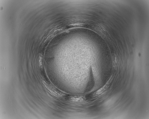 X0000053050175200507251432