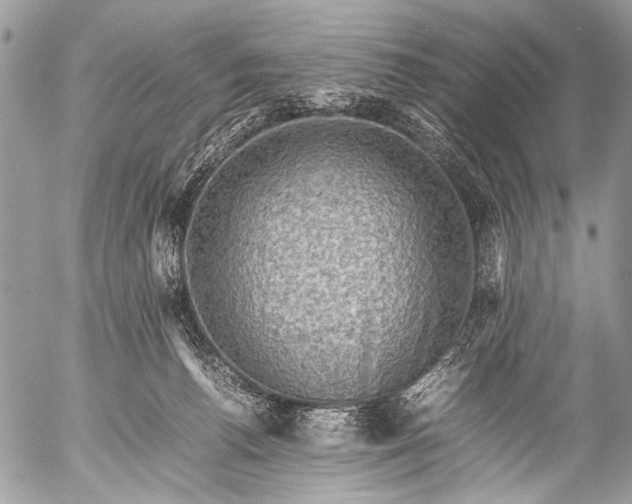 X0000053050176200507251432