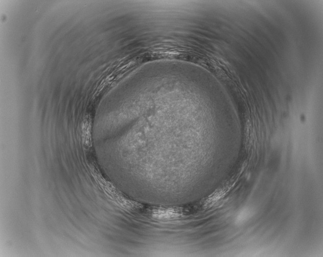 X0000053050177200507251432