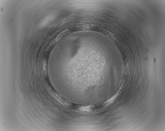 X0000053050178200507251432