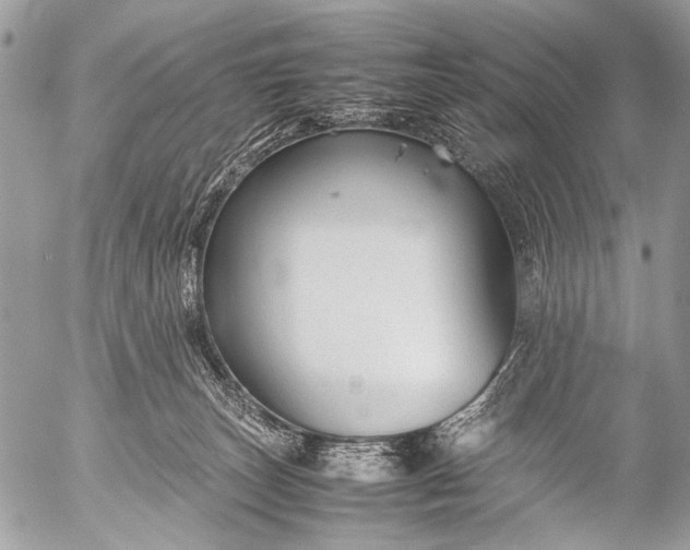 X0000053050179200507251432