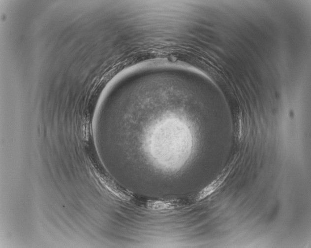 X0000053050180200507251432