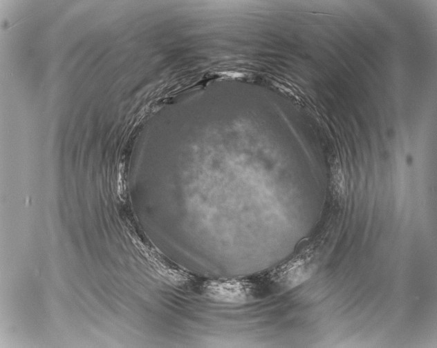 X0000053050181200507251432