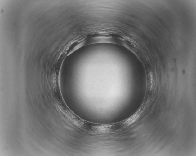 X0000053050184200507251433