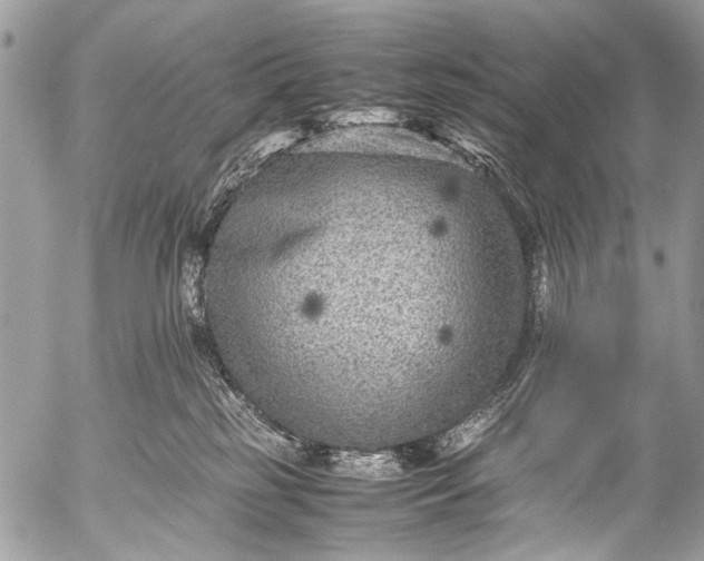 X0000053050185200507251433