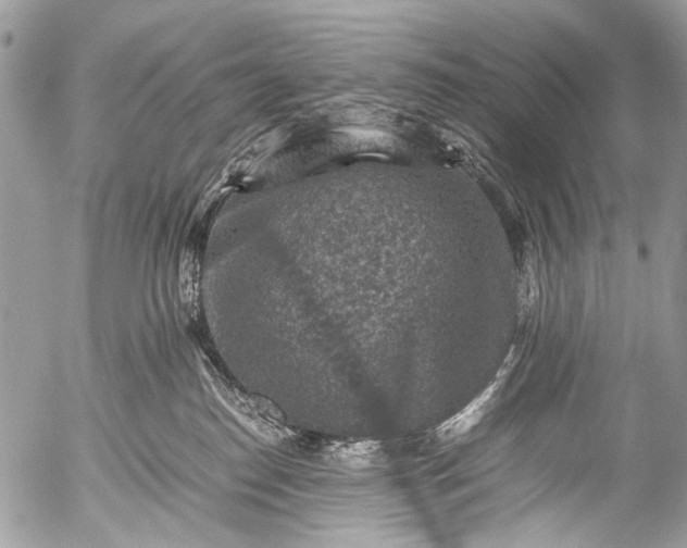 X0000053050186200507251433