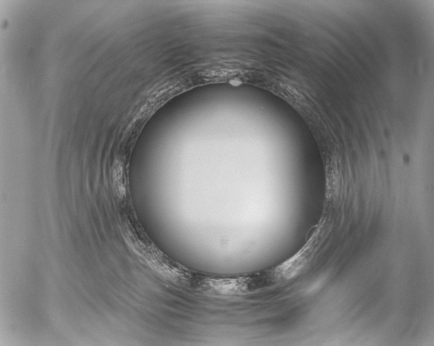 X0000053050187200507251433