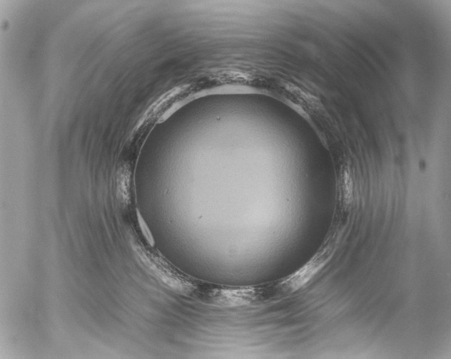 X0000053050188200507251433