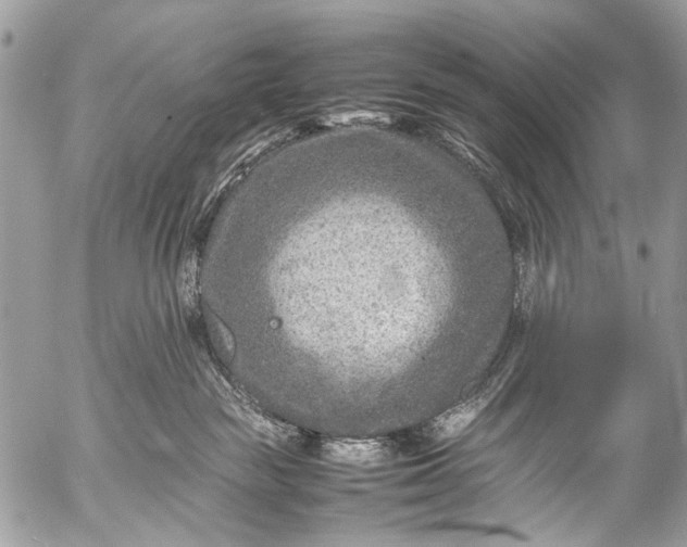 X0000053050189200507251433