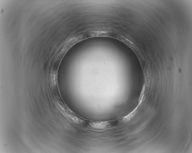 X0000053050191200507251433