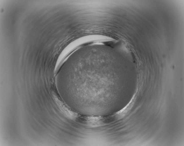 X0000053050192200507251433