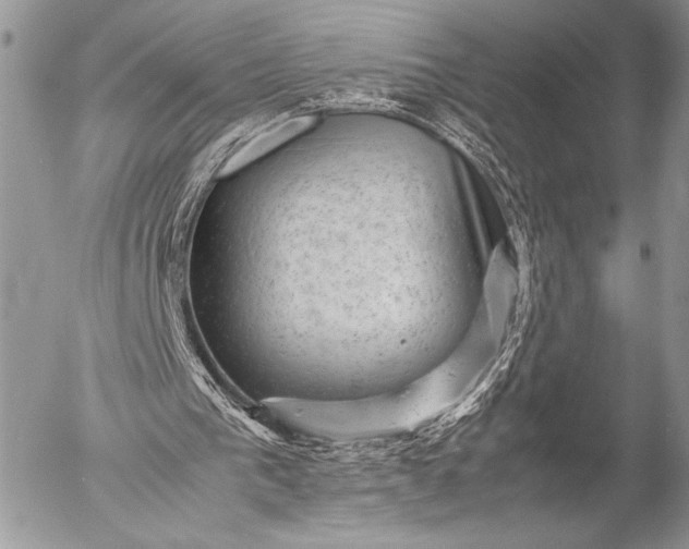 X0000053050193200507251432