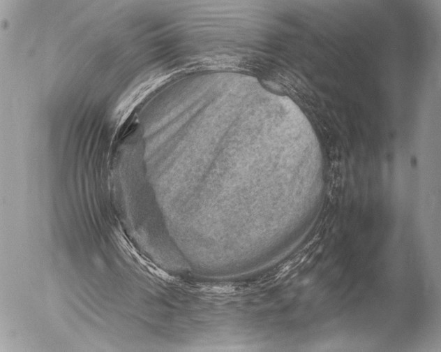 X0000053050194200507251432