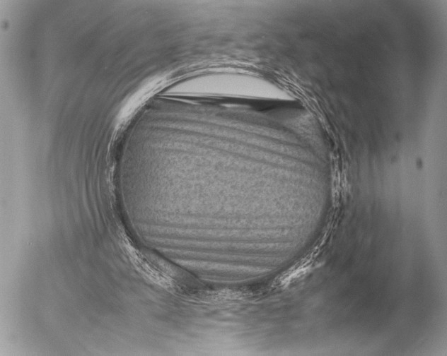 X0000053050197200507251432