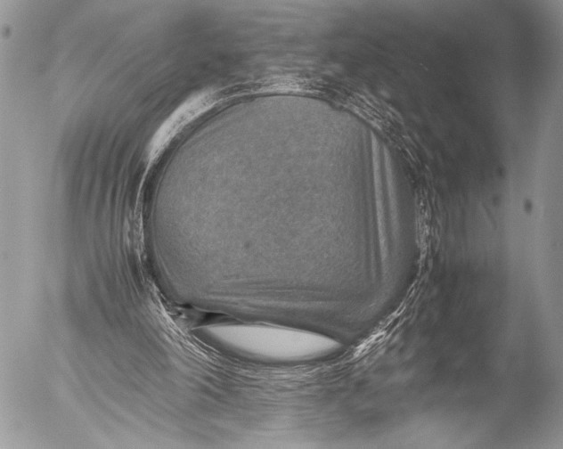 X0000053050198200507251432