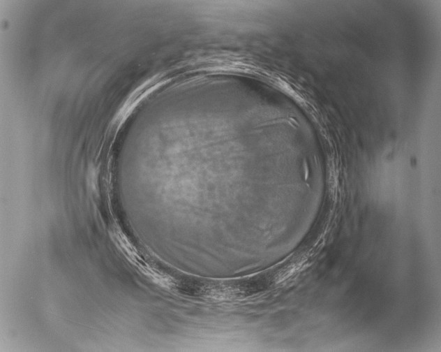 X0000053050199200507251432