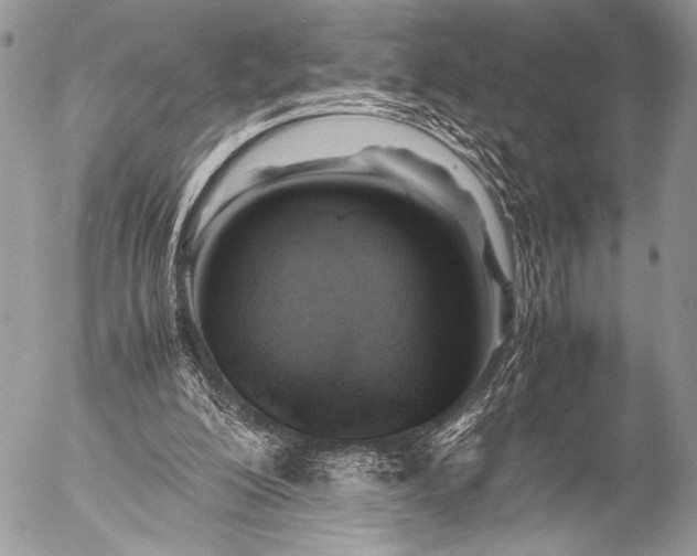 X0000053050200200507251432