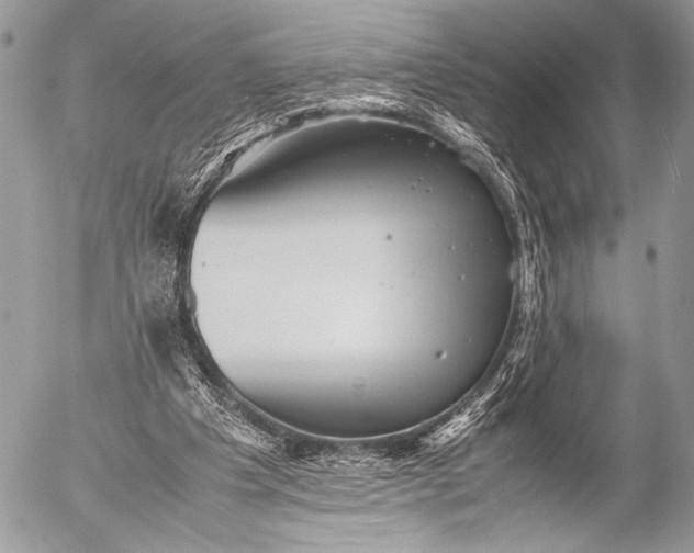 X0000053050201200507251432