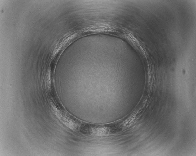 X0000053050202200507251432