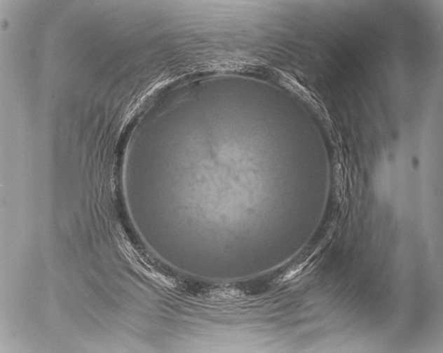 X0000053050203200507251432