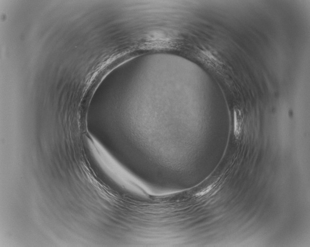 X0000053050204200507251432