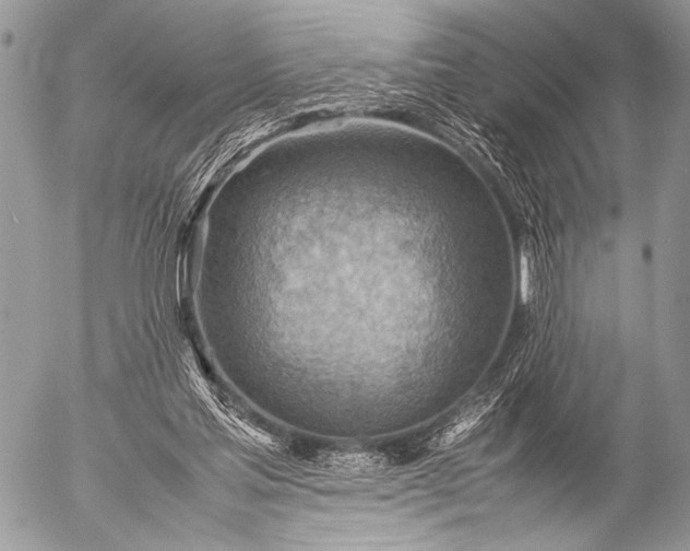 X0000053050205200507251432