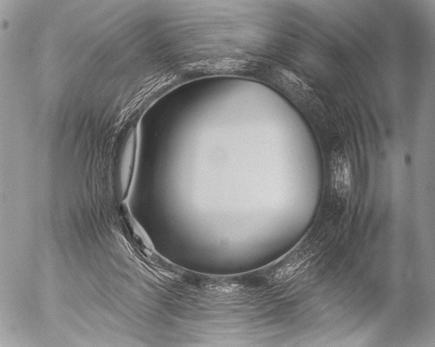 X0000053050206200507251432