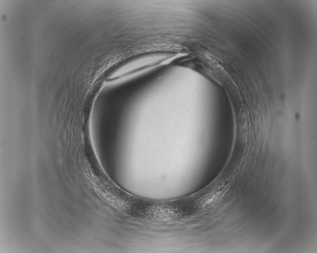 X0000053050207200507251432